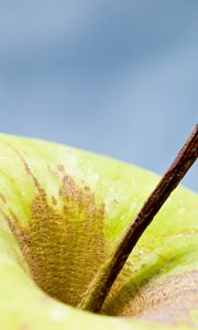 Preview wallpaper apple, fruit, macro, green