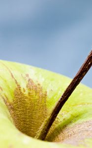 Preview wallpaper apple, fruit, macro, green