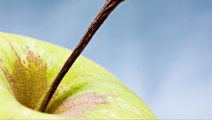 Preview wallpaper apple, fruit, macro, green