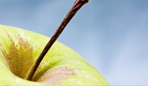 Preview wallpaper apple, fruit, macro, green