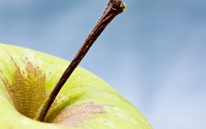 Preview wallpaper apple, fruit, macro, green