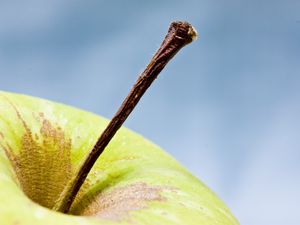 Preview wallpaper apple, fruit, macro, green