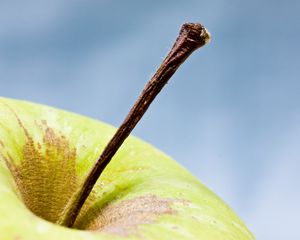 Preview wallpaper apple, fruit, macro, green