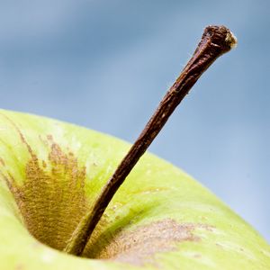 Preview wallpaper apple, fruit, macro, green