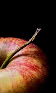 Preview wallpaper apple, fruit, macro, red, ripe