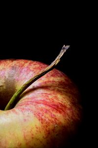 Preview wallpaper apple, fruit, macro, red, ripe