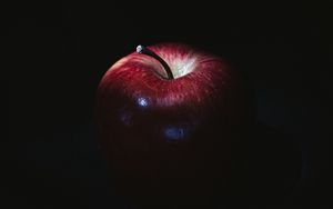 Preview wallpaper apple, fruit, red, shadow, dark