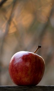 Preview wallpaper apple, fruit, red, focus