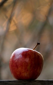 Preview wallpaper apple, fruit, red, focus