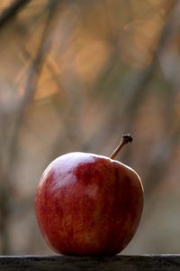 Preview wallpaper apple, fruit, red, focus