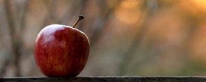 Preview wallpaper apple, fruit, red, focus