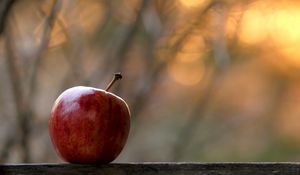 Preview wallpaper apple, fruit, red, focus