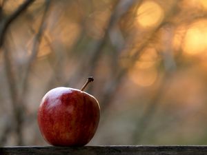 Preview wallpaper apple, fruit, red, focus