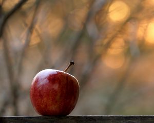 Preview wallpaper apple, fruit, red, focus