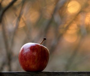 Preview wallpaper apple, fruit, red, focus