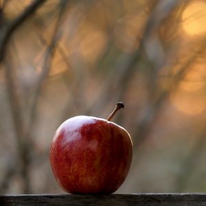 Preview wallpaper apple, fruit, red, focus