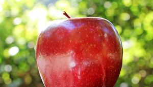 Preview wallpaper apple, fruit, ripe, close-up