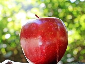 Preview wallpaper apple, fruit, ripe, close-up