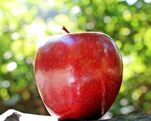 Preview wallpaper apple, fruit, ripe, close-up