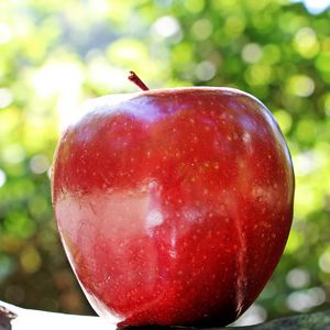 Preview wallpaper apple, fruit, ripe, close-up