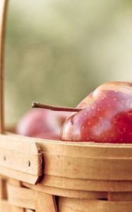 Preview wallpaper apple, fruit, ripe, basket