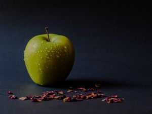 Preview wallpaper apple, green, wet, ripe, petals