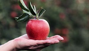 Preview wallpaper apple, hand, fruit