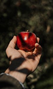 Preview wallpaper apple, hand, fruit, red