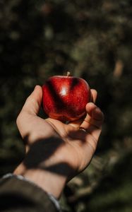 Preview wallpaper apple, hand, fruit, red