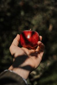 Preview wallpaper apple, hand, fruit, red