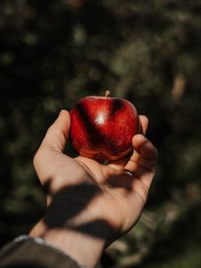 Preview wallpaper apple, hand, fruit, red