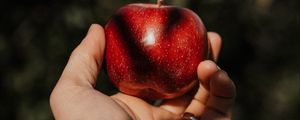 Preview wallpaper apple, hand, fruit, red