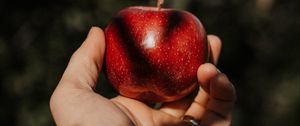 Preview wallpaper apple, hand, fruit, red