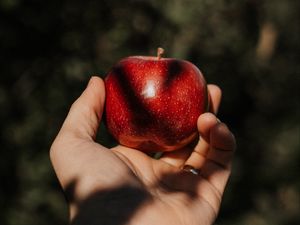 Preview wallpaper apple, hand, fruit, red