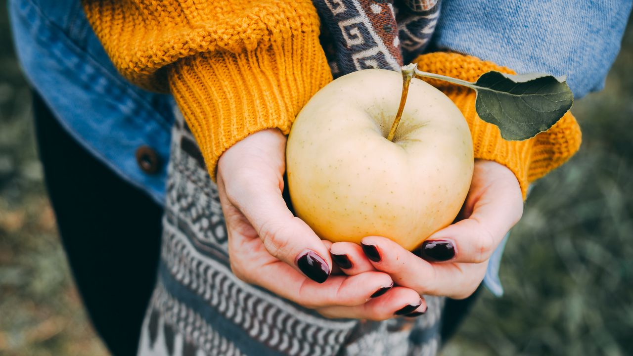 Wallpaper apple, hands, autumn, harvest