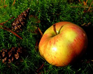 Preview wallpaper apple, herbs, fruits, ripe