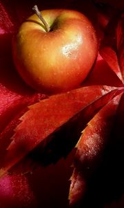 Preview wallpaper apple, leaf, still, life