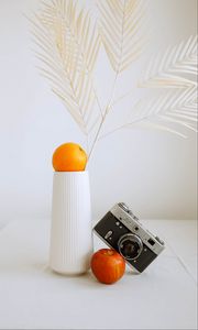 Preview wallpaper apple, orange, camera, vase, branch, decor