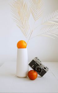 Preview wallpaper apple, orange, camera, vase, branch, decor