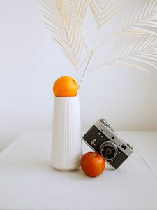 Preview wallpaper apple, orange, camera, vase, branch, decor