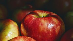 Preview wallpaper apple, red, fruit, macro