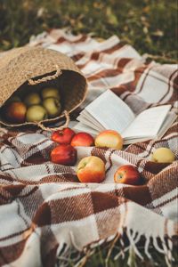 Preview wallpaper apples, basket, book, plaid