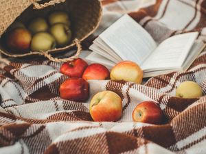 Preview wallpaper apples, basket, book, plaid
