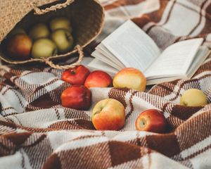 Preview wallpaper apples, basket, book, plaid