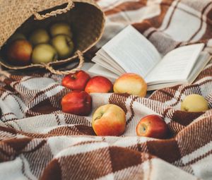Preview wallpaper apples, basket, book, plaid