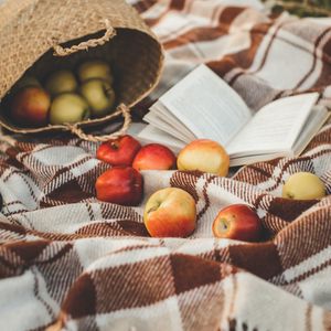 Preview wallpaper apples, basket, book, plaid