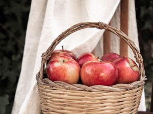 Preview wallpaper apples, basket, fruit, red