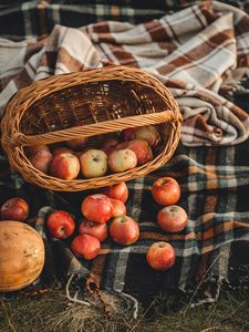 Preview wallpaper apples, basket, fruits, autumn