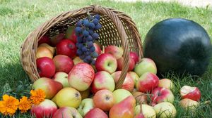 Preview wallpaper apples, basket, grass