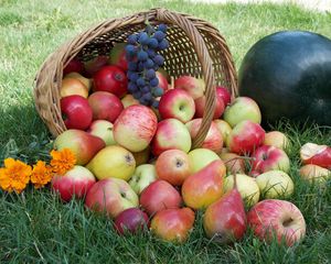 Preview wallpaper apples, basket, grass